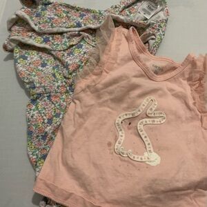 Carter's Pink Top and Floral Dress Set